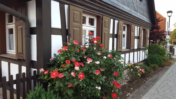 Una casa tradicional de entramado de madera con un jardín de rosas.