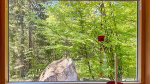 Une fenêtre donnant sur une forêt, un grand rocher et un chandelier.