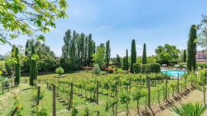 Een wijngaard met rijen druivenranken, een zwembad en diverse bomen en struiken.