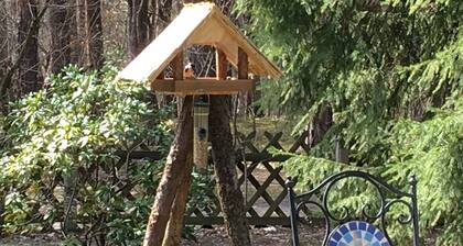 Vacation home forest and lake idyll near bathing lakes, Spreewald and Berlin