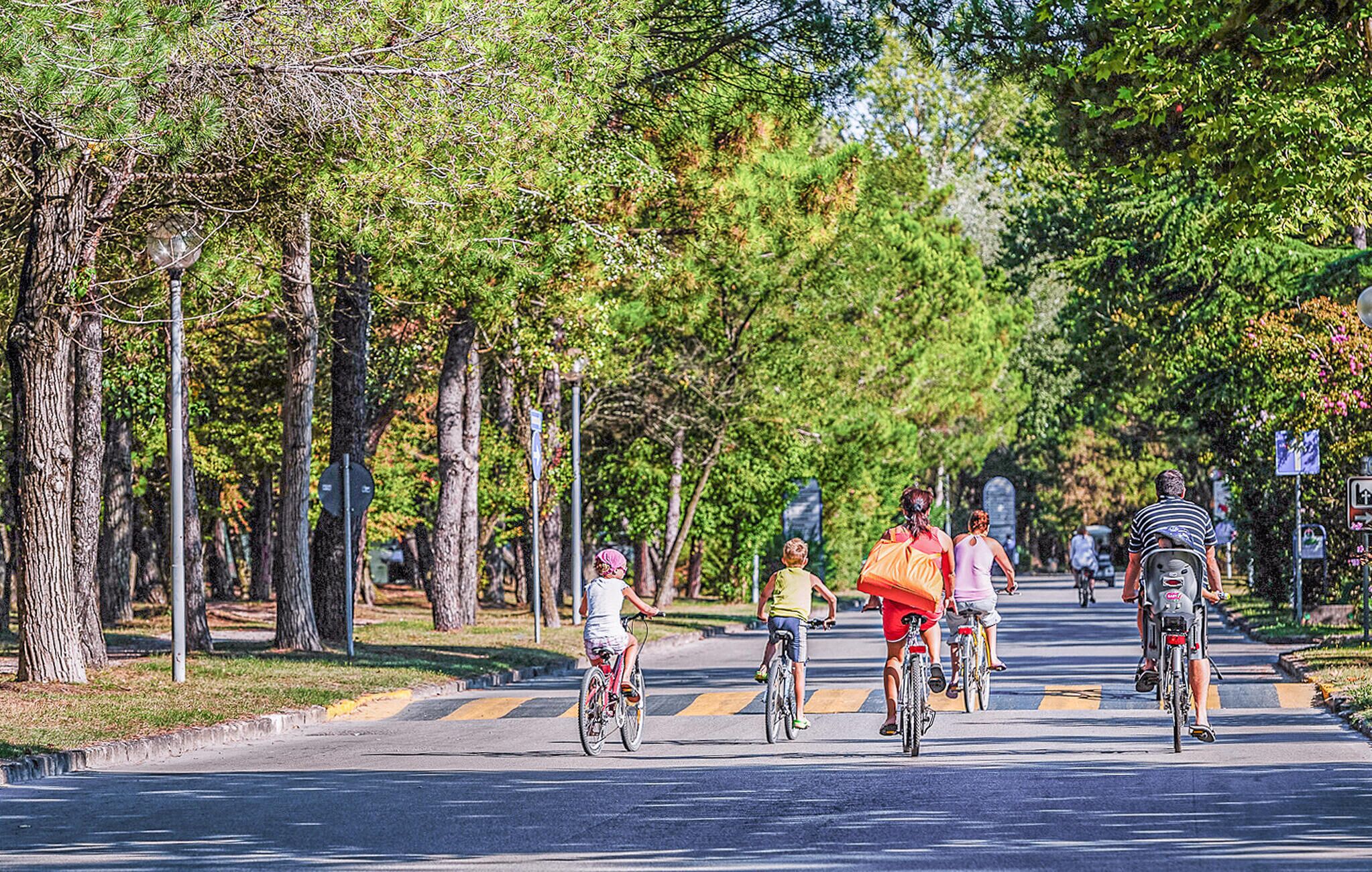 A tree-lined street with cyclists and pedestrians.