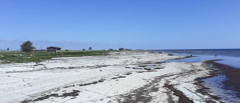 Playa en los alrededores y pesca
