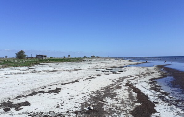 Playa en los alrededores y pesca