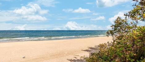 Beach nearby, fishing