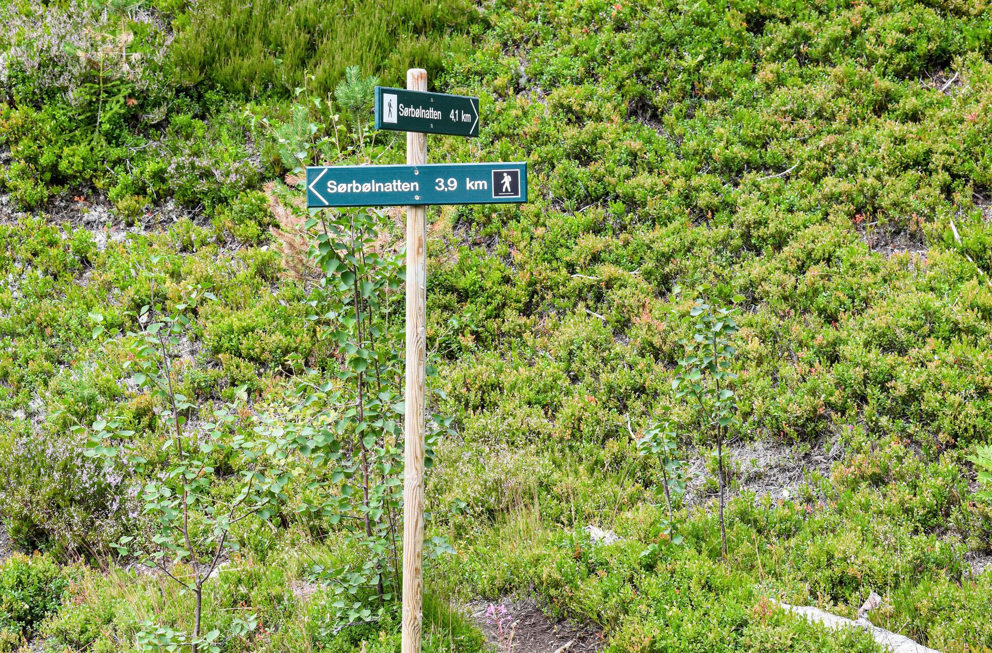 A directional signpost with two signs pointing towards 'Sörbölnatten' at 3.9 km and 4.1 km.