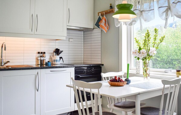 Fridge, oven, stovetop, dishwasher