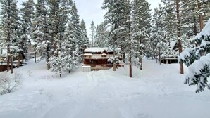 A cabin surrounded by snow-covered trees, with a clear path leading to the entrance. - Cozy Cabin • Near Zoo, Golf, Trails, Lake • Family & Dog Friendly • Game Room (Big Bear Lake)