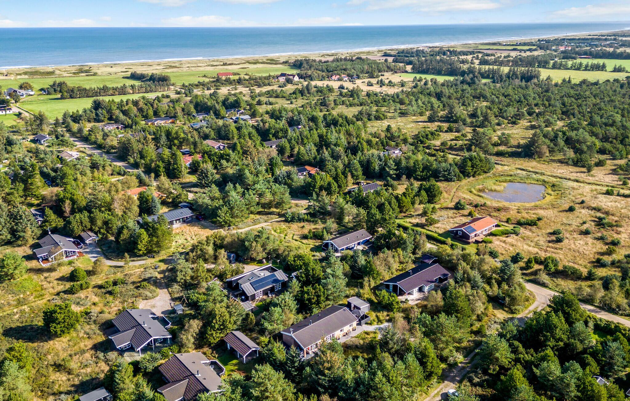 Ett flygbildsbild av ett bostadsområde med hus omgivna av täta skogar, en liten damm och en strand i bakgrunden.