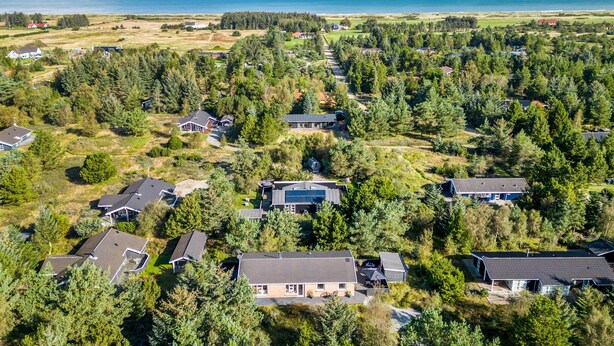 Luchtbeeld van een woongebied met huizen, omringd door dichte bossen, een heldere lucht en uitzicht op de oceaan.