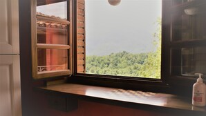 A kitchen with a window overlooking a forested area. - Tuscan tradition renovated in 2021 (Barga)