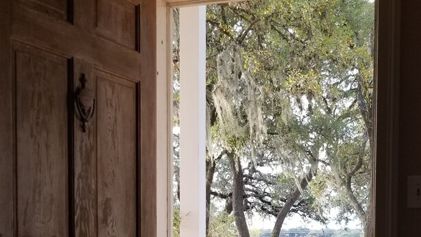 Una puerta de madera que da a un patio con vistas a árboles y un área verde.