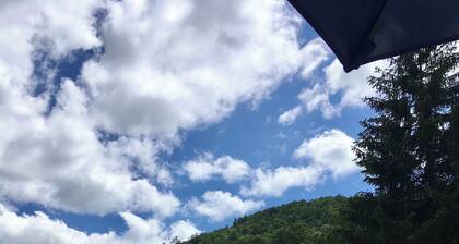 Cozy Cabin with fireplace and screened in porch in Sapphire Valley.