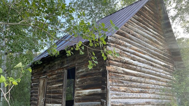 A rustic log cabin with a metal roof, surrounded by greenery. - Privacy and Views in Swan Valley - Short Drive to Victor and Jackson (Swan Valley)