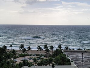 A beach view with palm trees and a pool area.