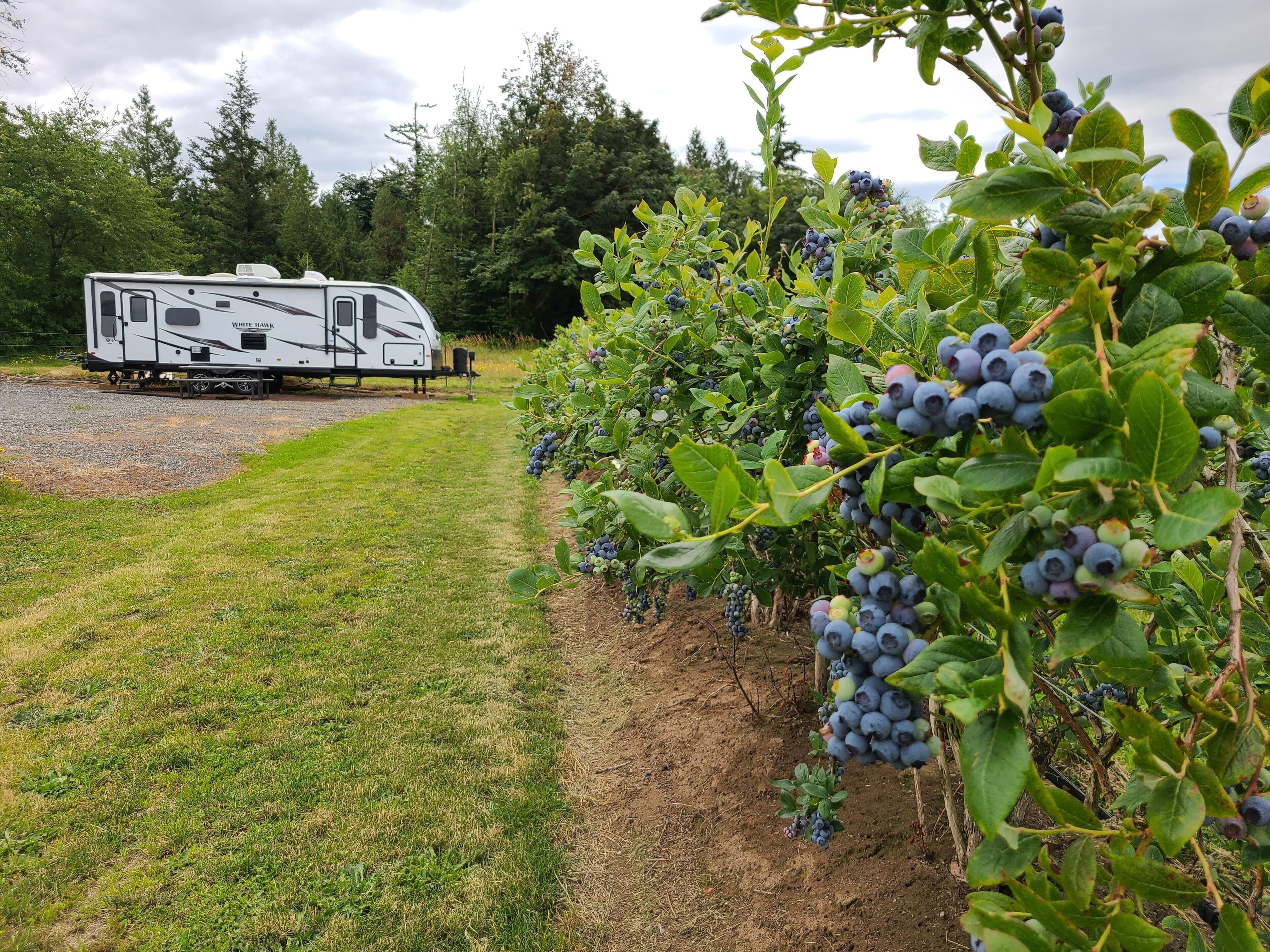 NEW Blueberry Bungalow RV Peaceful Slice of Heaven