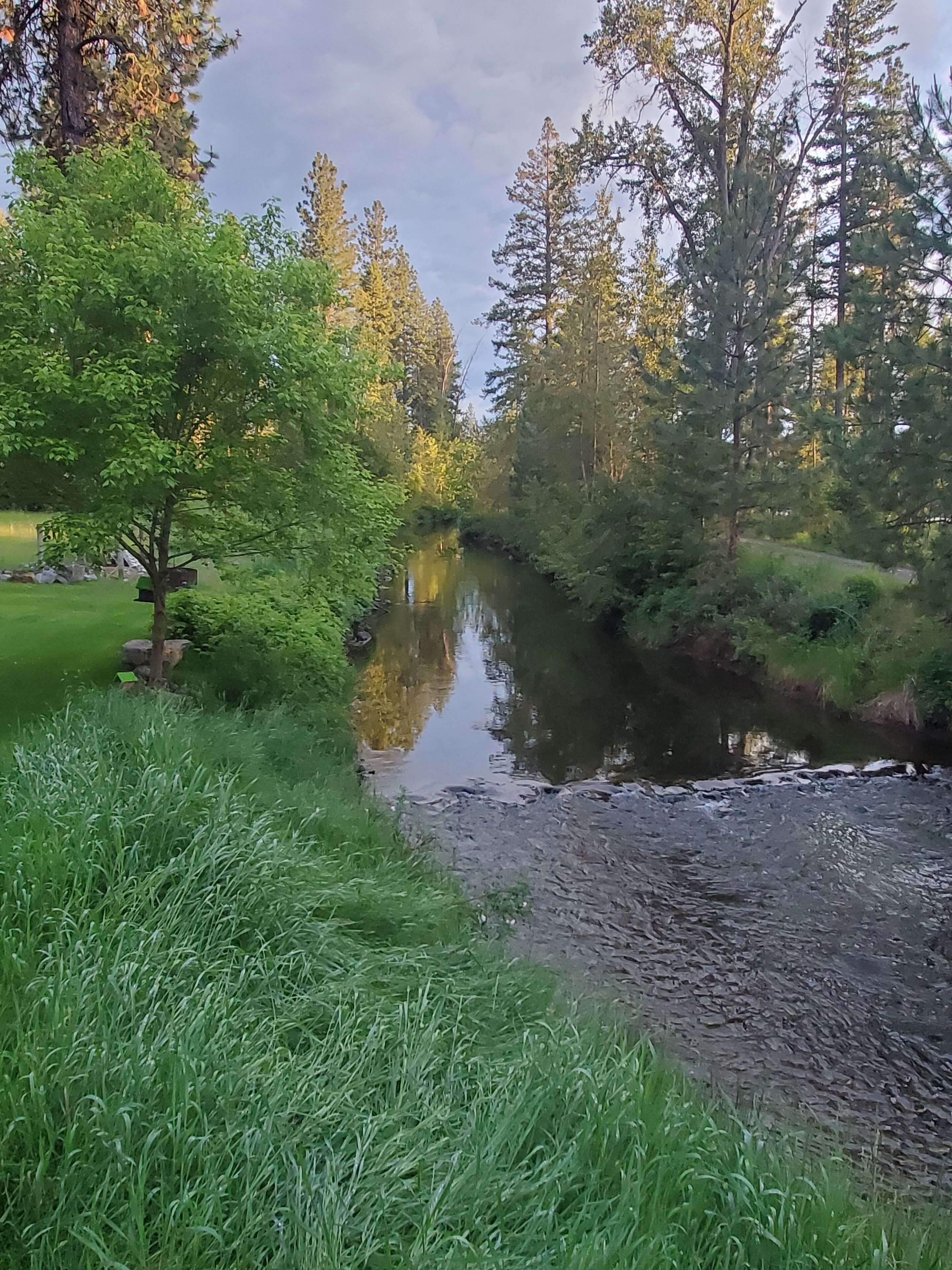 1 BR apt nestled by the Rocky Mountains