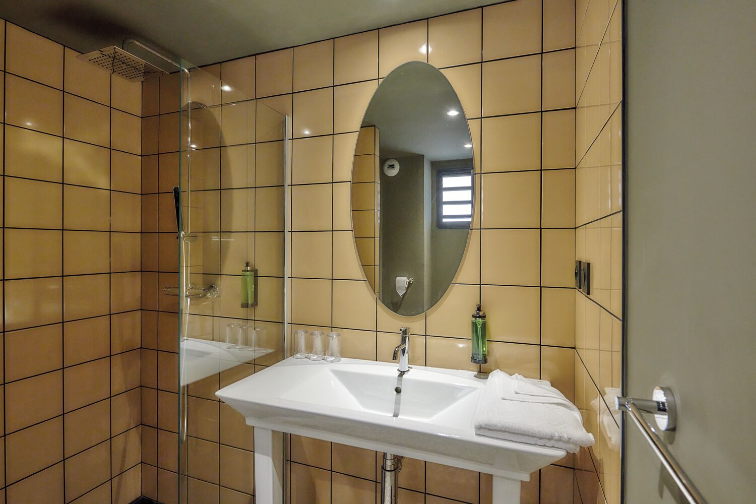 business double room | bathroom | shower