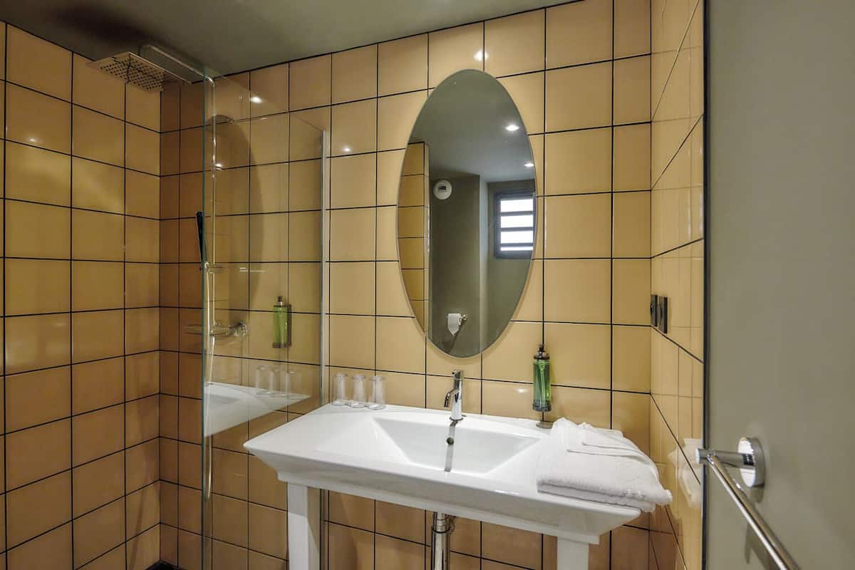 business double room | bathroom | shower