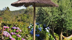 A garden with a thatched umbrella, flowering plants, and a hammock. - Toca dos Lobos - Ecological Cabin (Caminha)