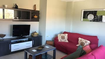 TV