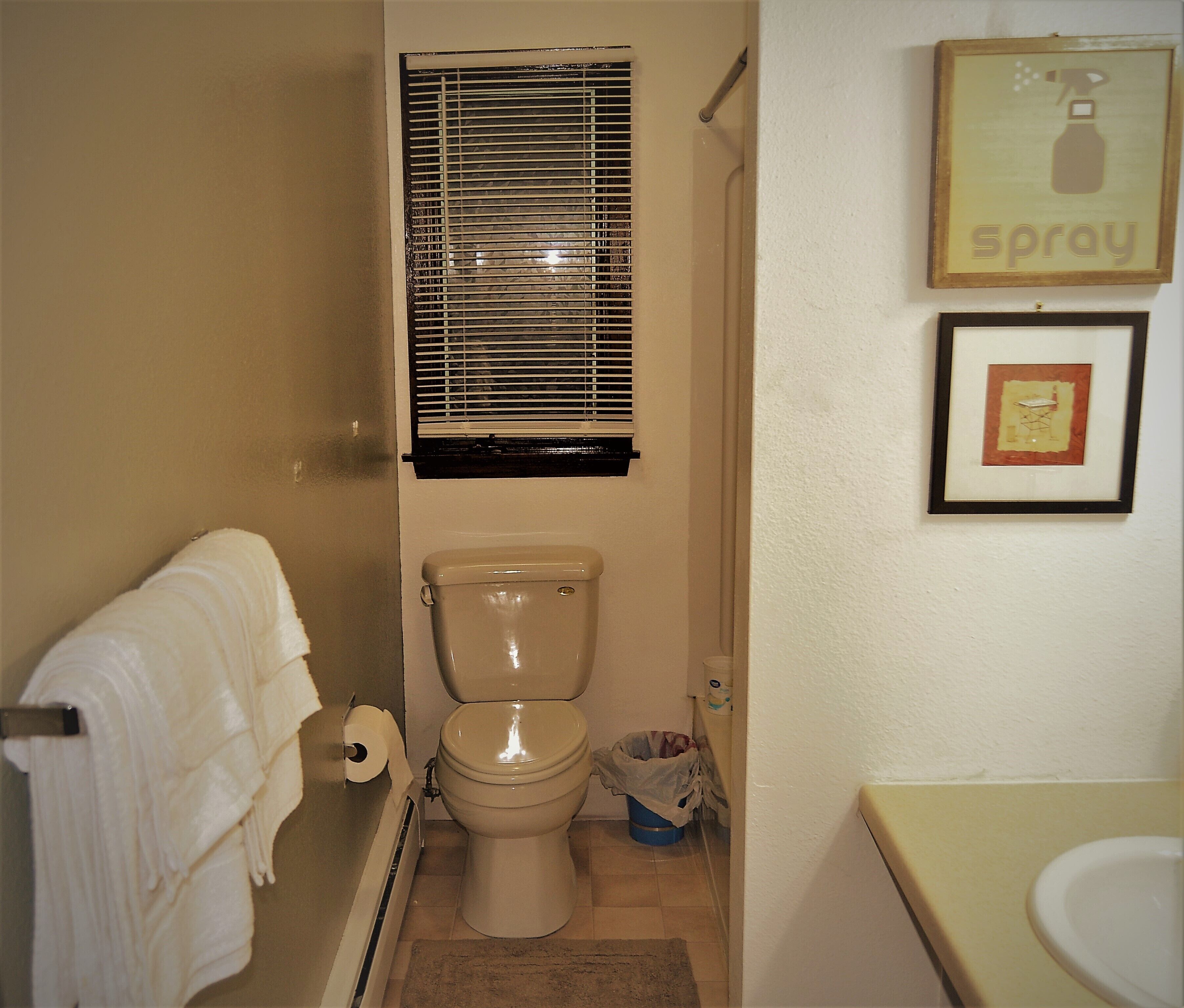 Apartment, 2 Bedrooms, Balcony | Bathroom