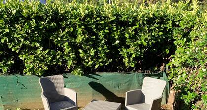 Between Nature And City - Apartment With Garden