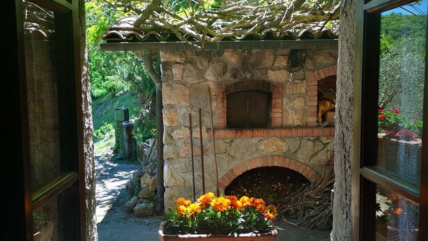 Unclassified image, 1 of 35, button - Holiday Apartment Ulivella Tuscany Garfagnana (Molazzana)