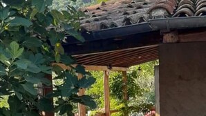 Unclassified image, 2 of 35, button - Holiday Apartment Ulivella Tuscany Garfagnana (Molazzana)