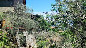 Unclassified image, 4 of 35, button - Holiday Apartment Ulivella Tuscany Garfagnana (Molazzana)