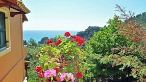 Een balkon met een bloempot met rode en roze bloemen, met uitzicht op een kustlandschap met bomen en de zee.