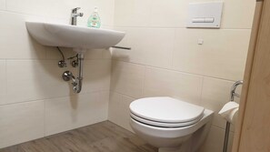 Douche, séchoir à cheveux, serviettes fournies, savon