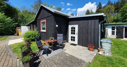 Ferienhaus Waldidyll