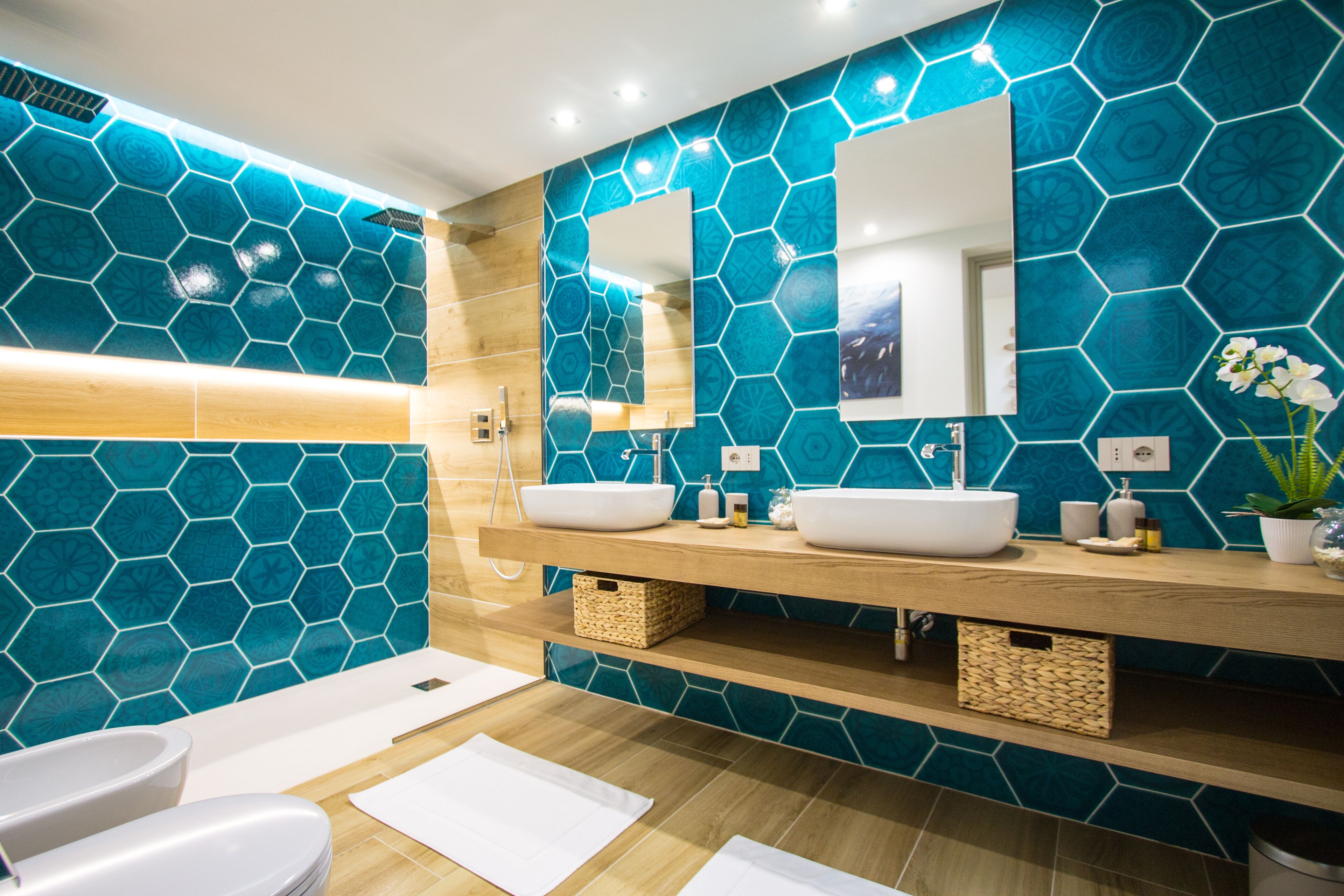 Shower, hair dryer, bidet, towels