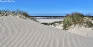 En la playa 