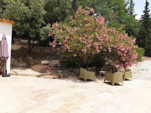 Un espace patio avec un sol en pierre, une petite table, deux chaises et un arbuste à fleurs roses.