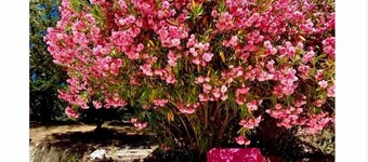 Charming 5* listed Provencal house 5 bedrooms, 4 bath and private swimming pool