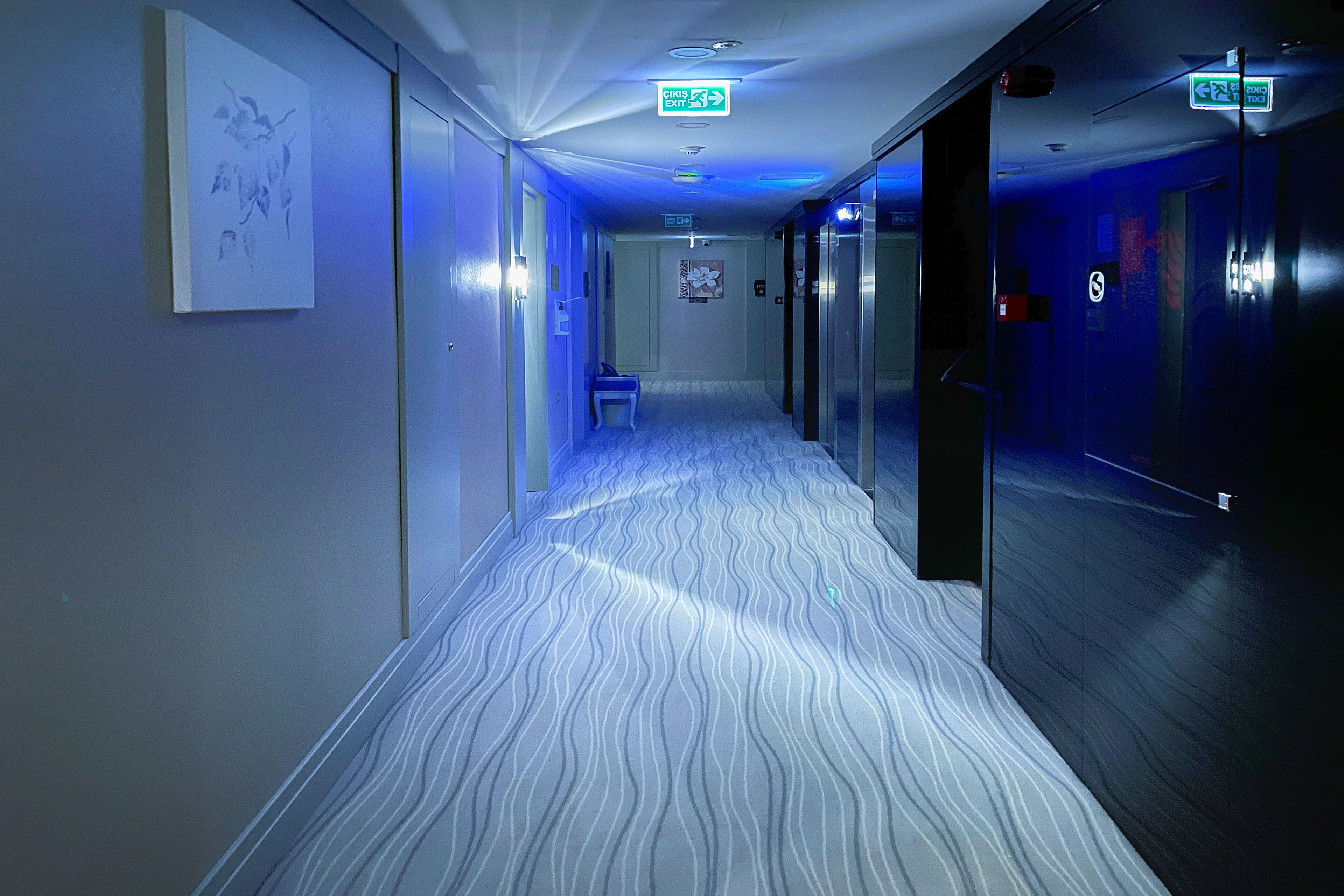 1 bedroom, egyptian cotton sheets, premium bedding, down duvets