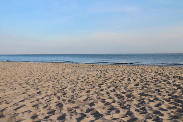 بالقرب من الشاطئ