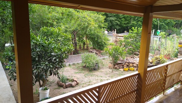Ein überdachter Außenbereich mit Holzbalkon, Blumentöpfen und einem Garten mit verschiedenen Bäumen und Sträuchern.