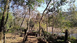 Ein naturbelassener Campingplatz mit Bäumen, Felsen und einem Fluss im Hintergrund.