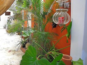 Détail de l’extérieur