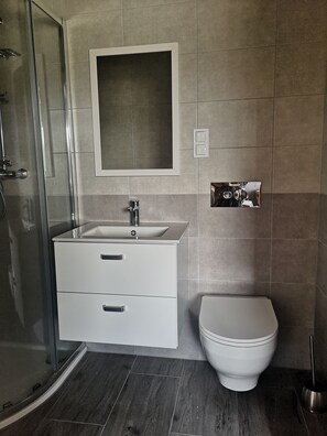 Shower, towels, soap, toilet paper