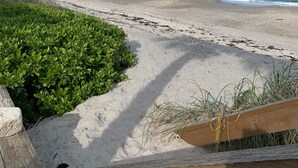 Une plage avec un rivage sablonneux, une clôture en bois et une végétation verdoyante.