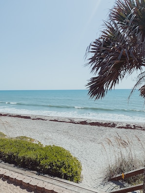 On the beach, sun-loungers, beach towels - The Beach Bungalow (Satellite Beach)