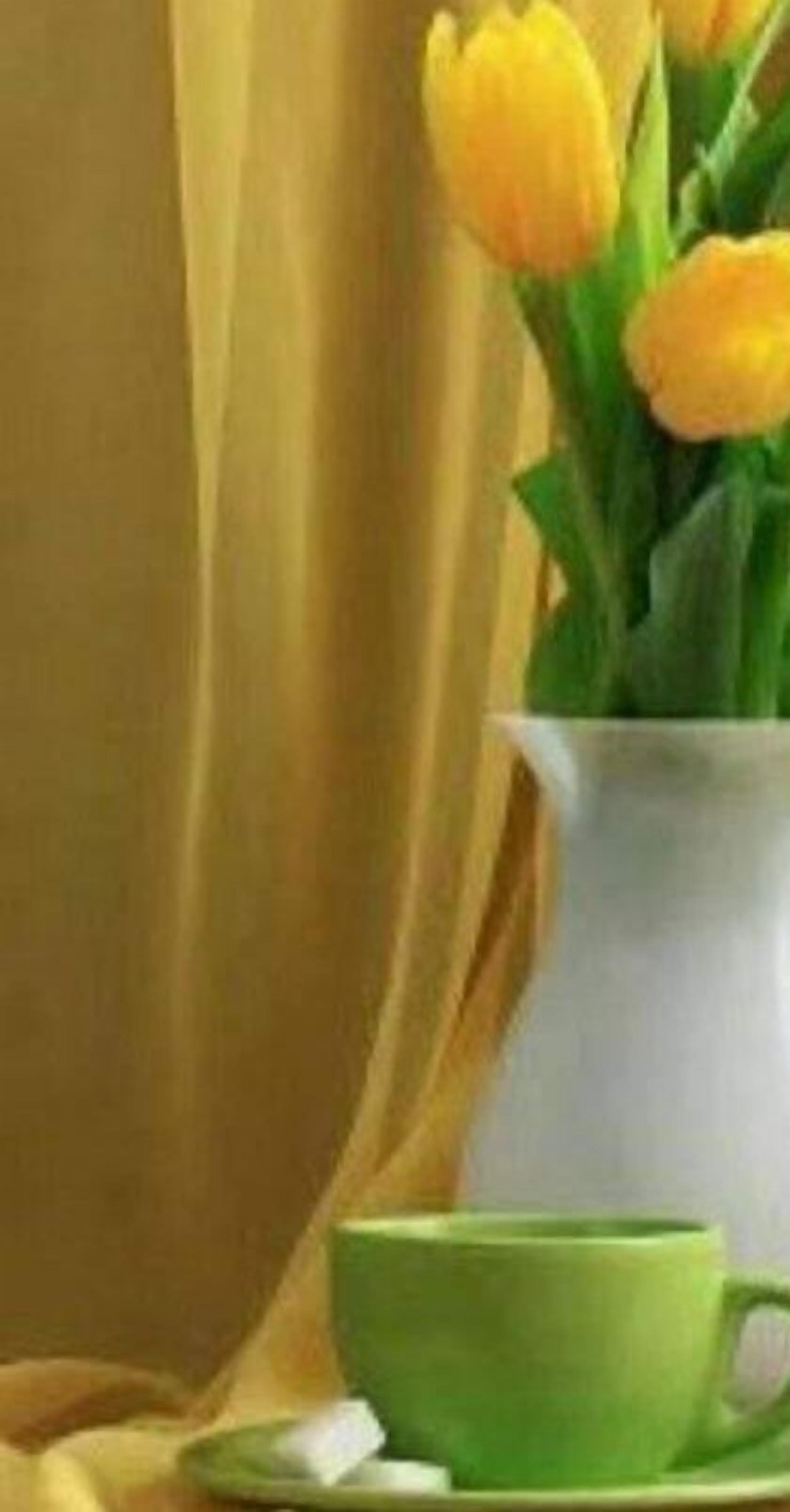  Front garden,organic vegetable garden & Wildlife Century for walking & hiking.