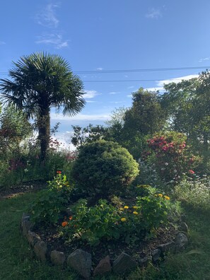 Property grounds - Cozy Garden Retreat – A Peaceful Getaway for Nature Lovers! (Darjeeling)