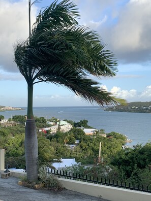 Vue depuis l’hébergement