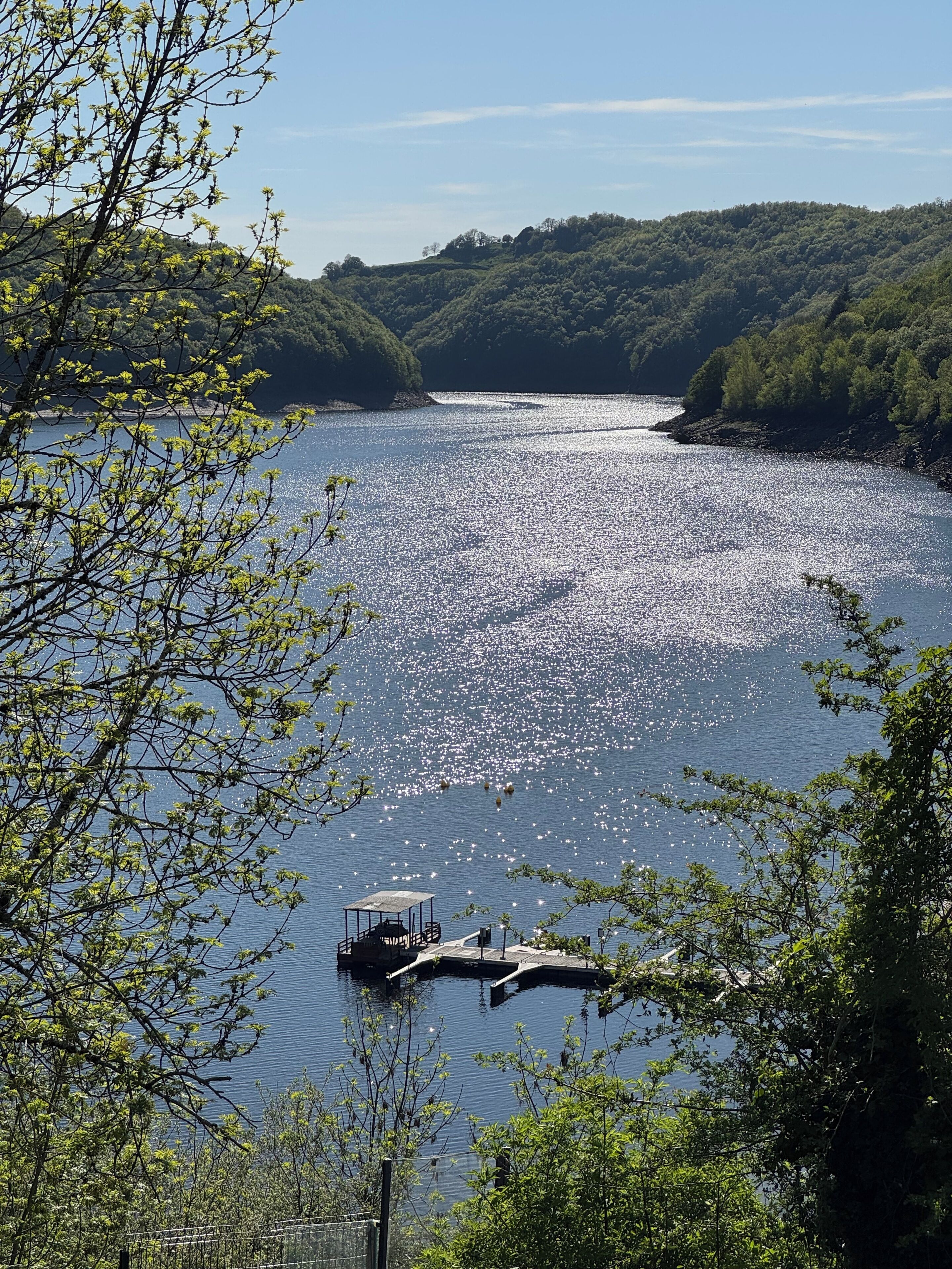 A lake with a dock and trees in the foreground.