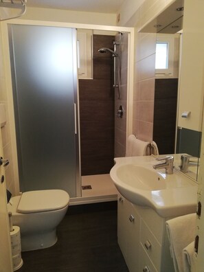 Shower, hair dryer, towels, toilet paper