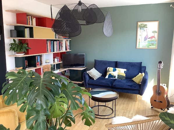 Télévision, lecteur de DVD, livres